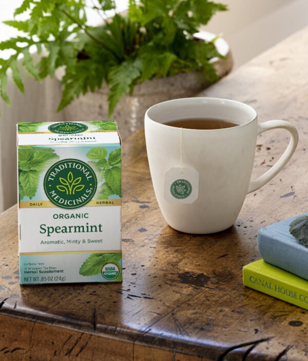 Traditional Medicinals Spearmint Tea (6x16 Bag)