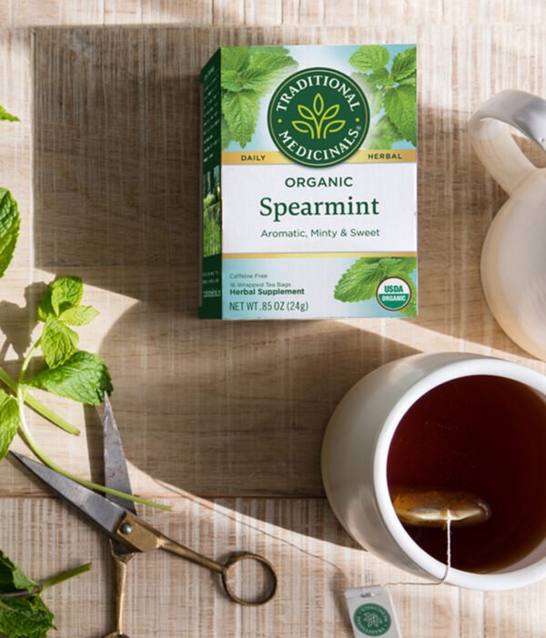 Traditional Medicinals Spearmint Tea (6x16 Bag)