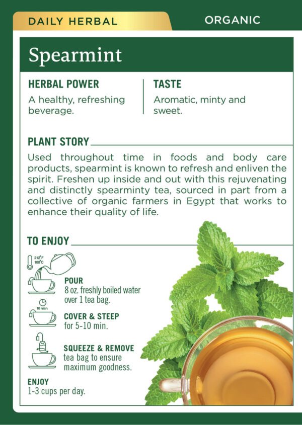 Traditional Medicinals Spearmint Tea (6x16 Bag)