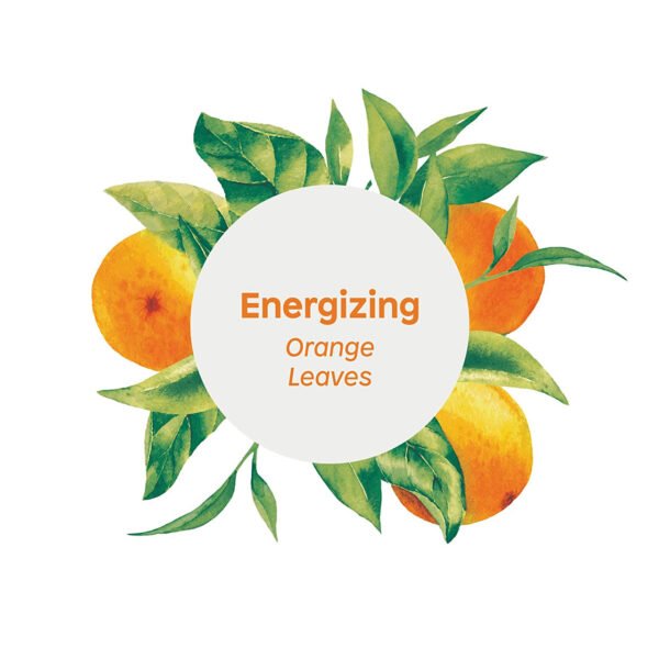 ATITUD BDY/CRM ENERGIZNG ( 1 X 8 OZ   )