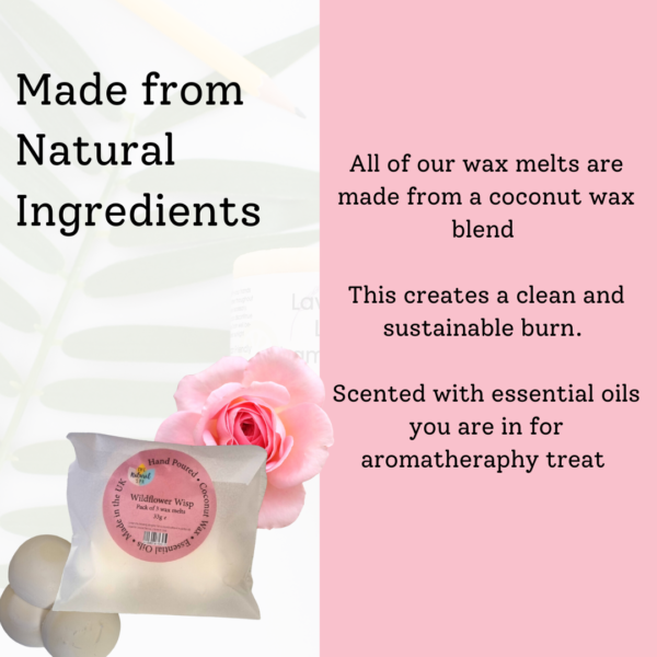 Wildflower Wisp Coconut Wax melts - Pack of 3
