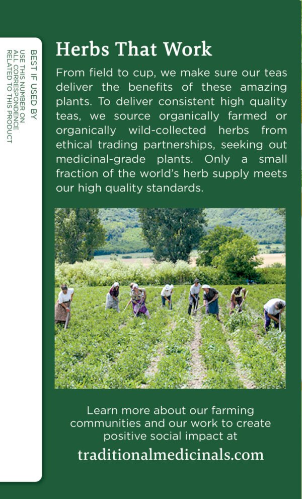 Traditional Medicinals Chamomile Tea (6x16 Bag)